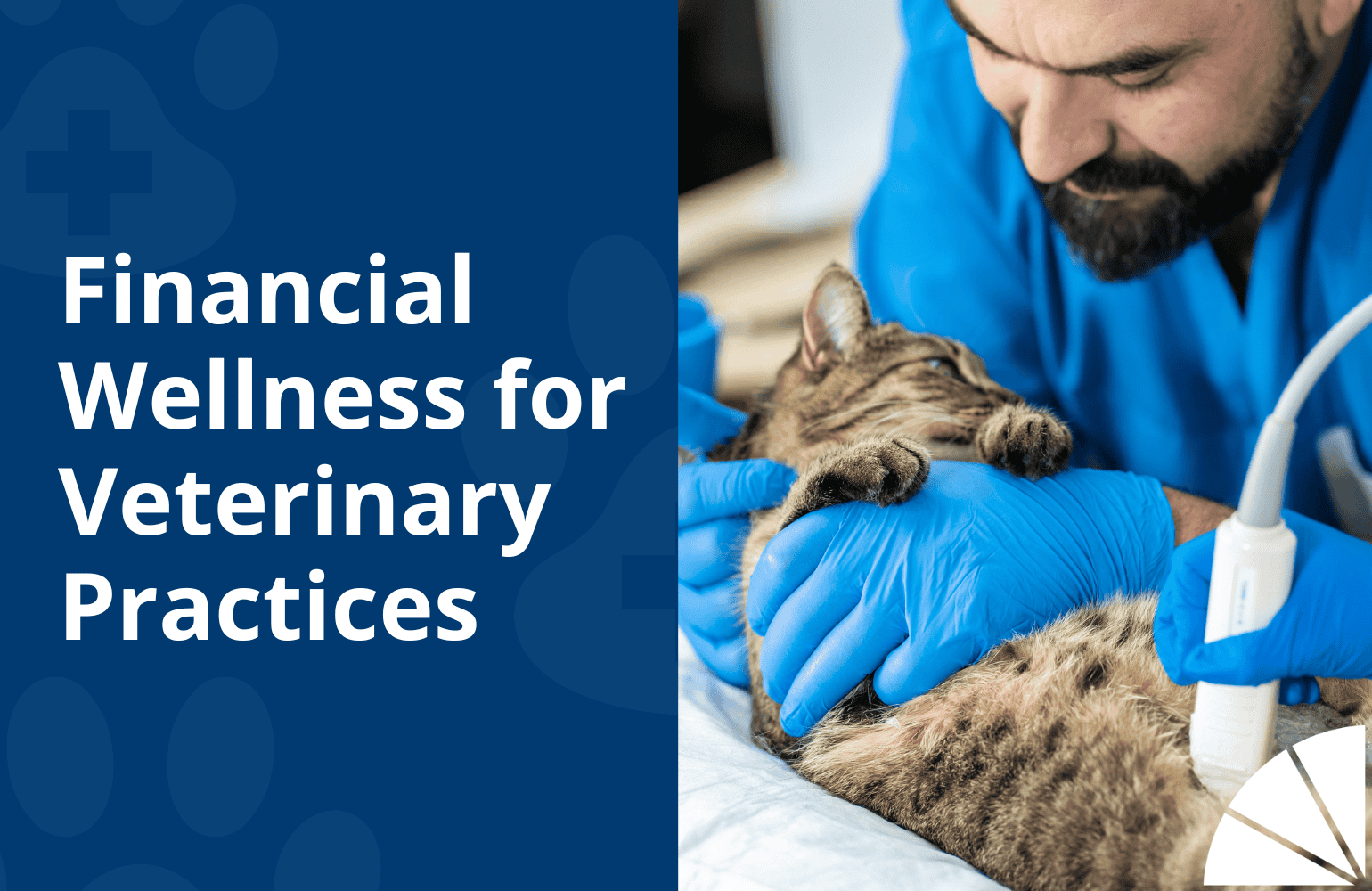 financial wellness veterinary practices